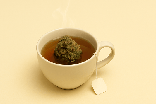 infusion CBD