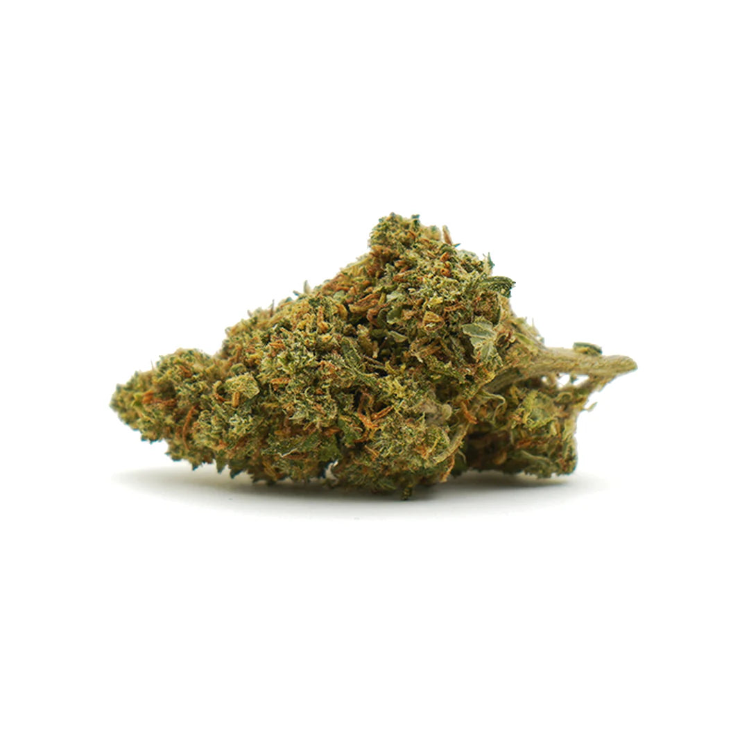 Orange Bud