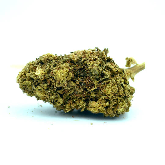 Northern Lights