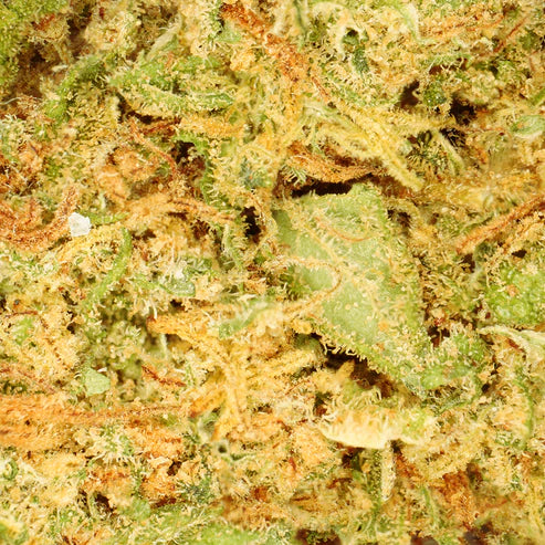 Capullo de naranja