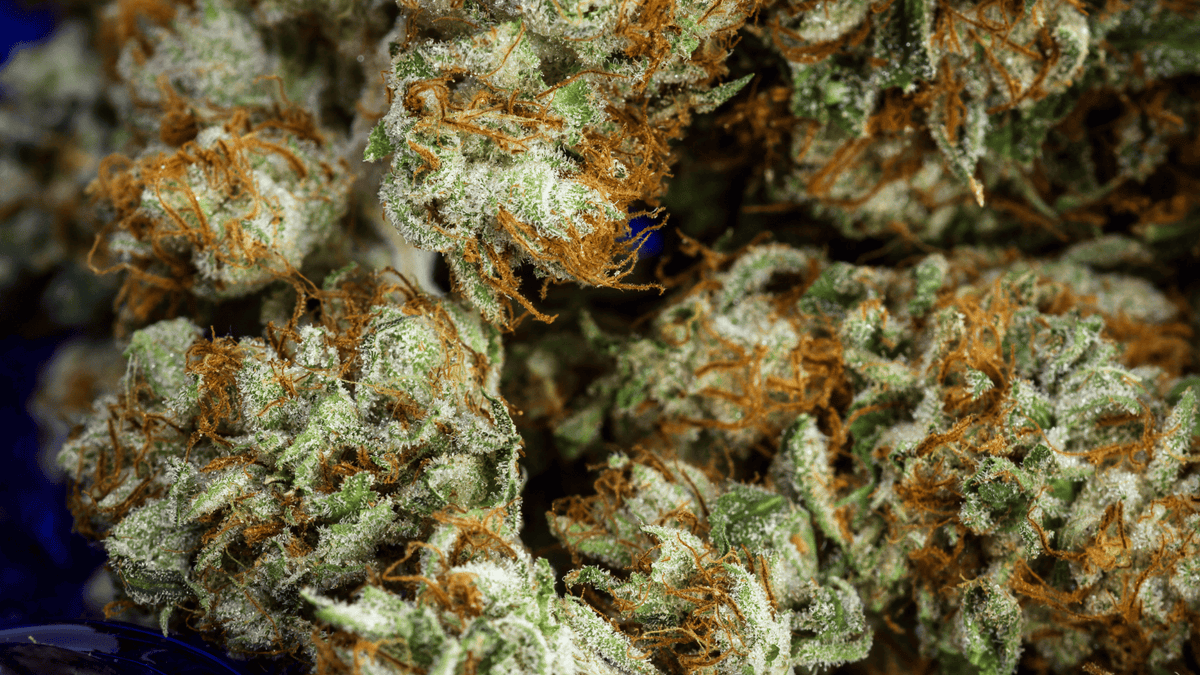 O que é o CBD? Definição de Cannabidiol
