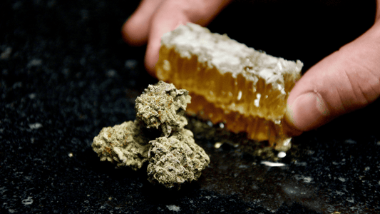 Qu'est-ce que le CBD ? Définissons le Cannabidiol