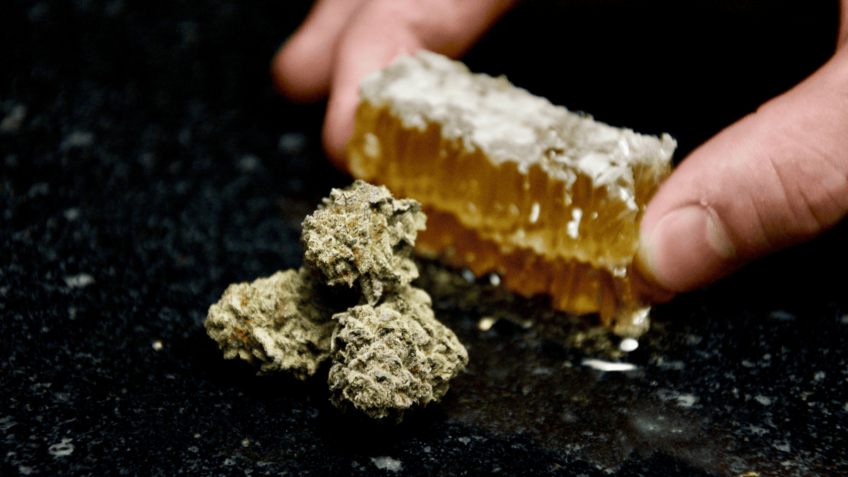 Qu'est-ce que le CBD ? Définissons le Cannabidiol