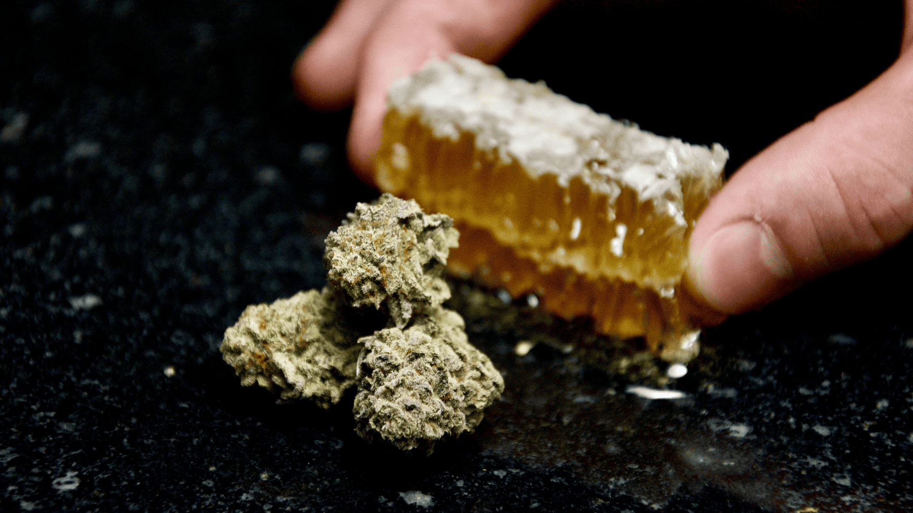 Qu'est-ce que le CBD ? Définissons le Cannabidiol