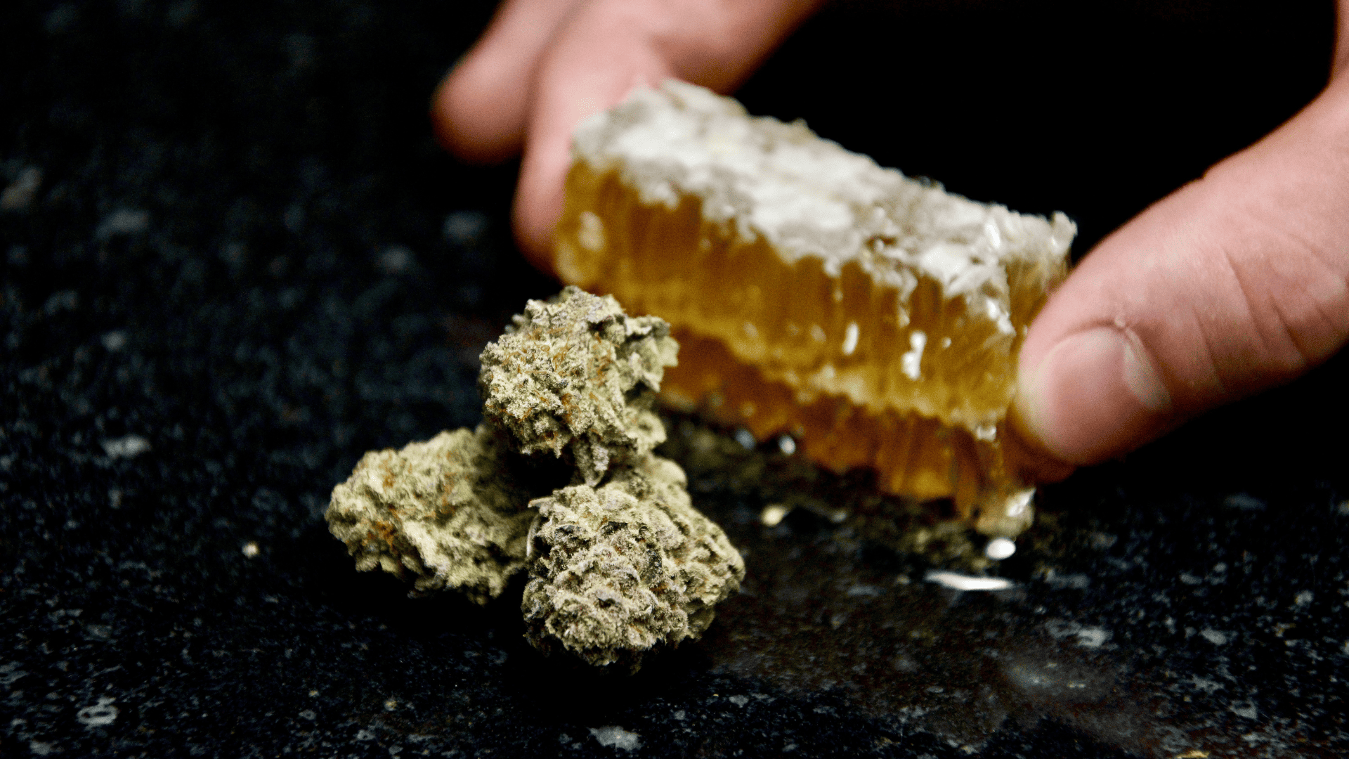 Qu'est-ce que le CBD ? Définissons le Cannabidiol Image