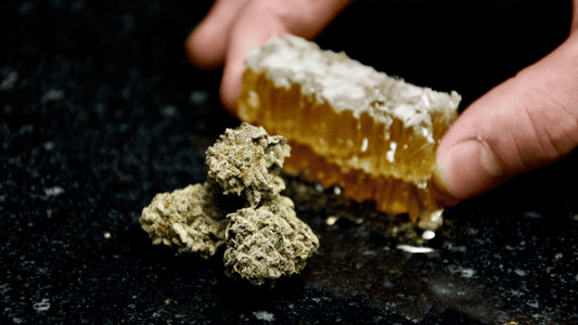Qu'est-ce que le CBD ? Définissons le Cannabidiol