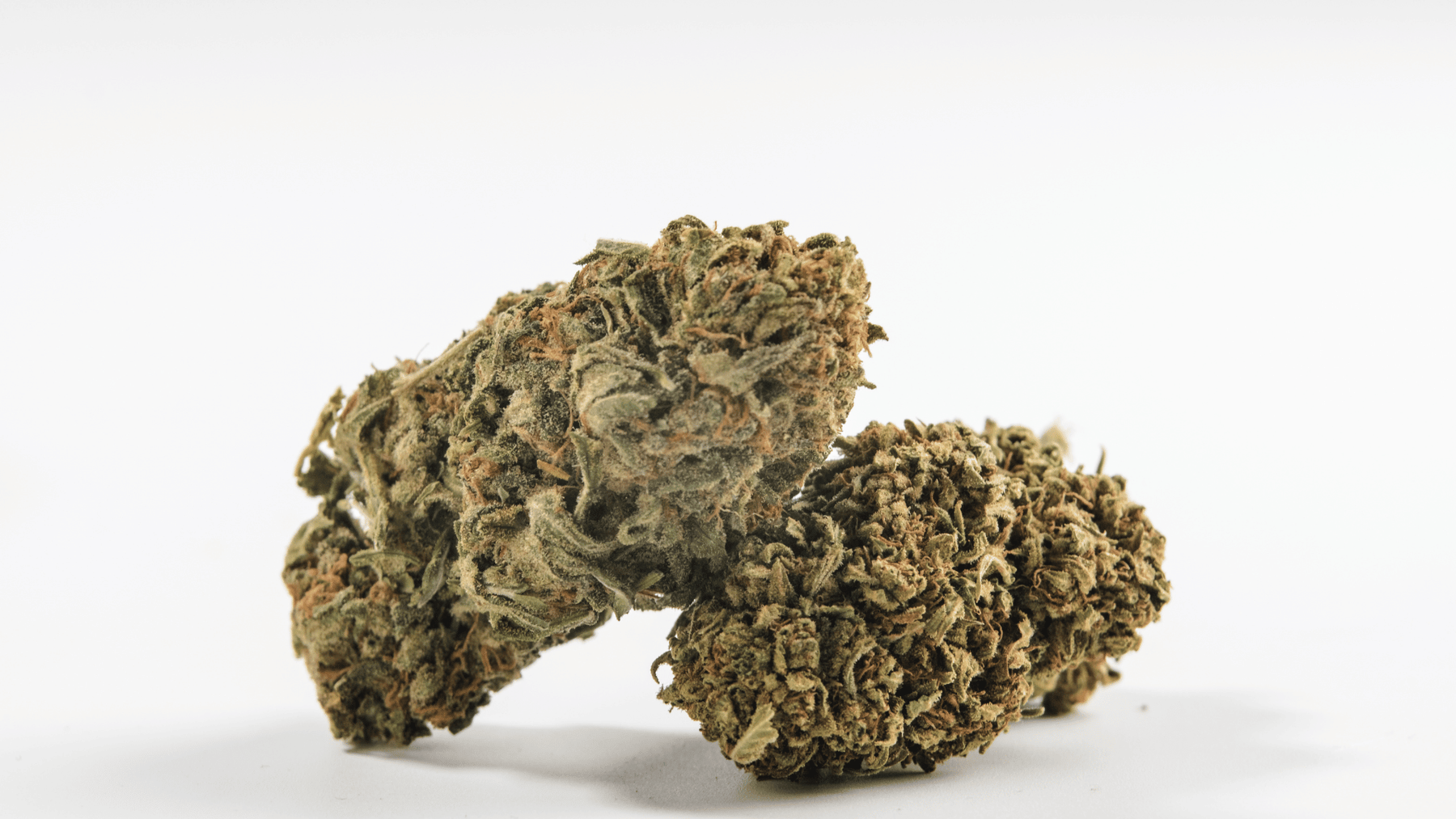 CBG ou CBD pour dormir : lequel est le plus efficace ?