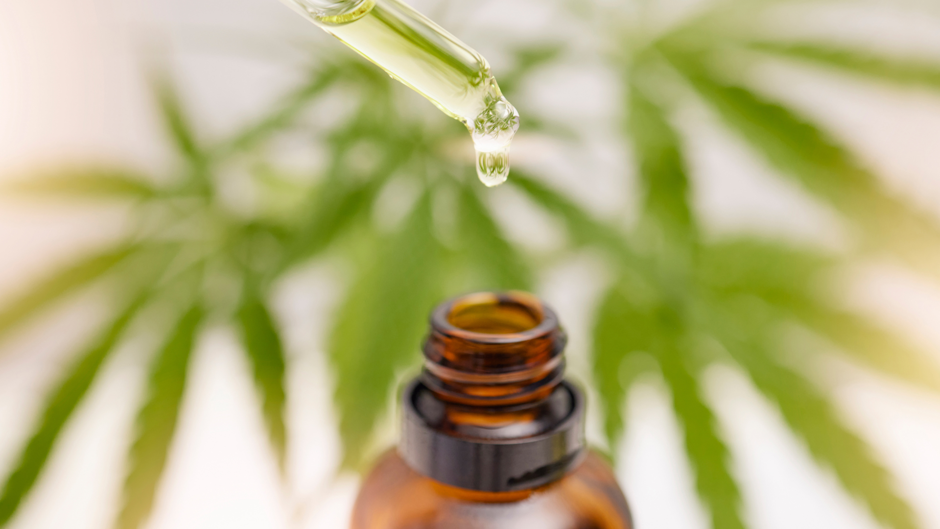 Qu'est-ce que le CBD ? Définissons le Cannabidiol Image