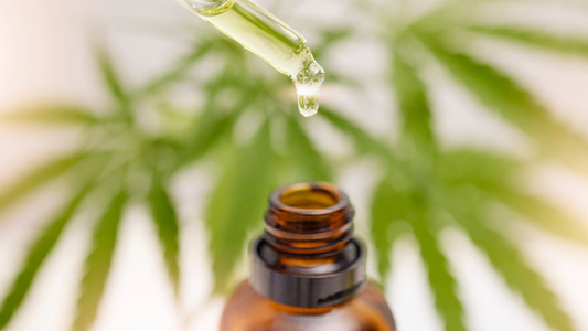 ¿Qué es el CBD? Definición del cannabidiol