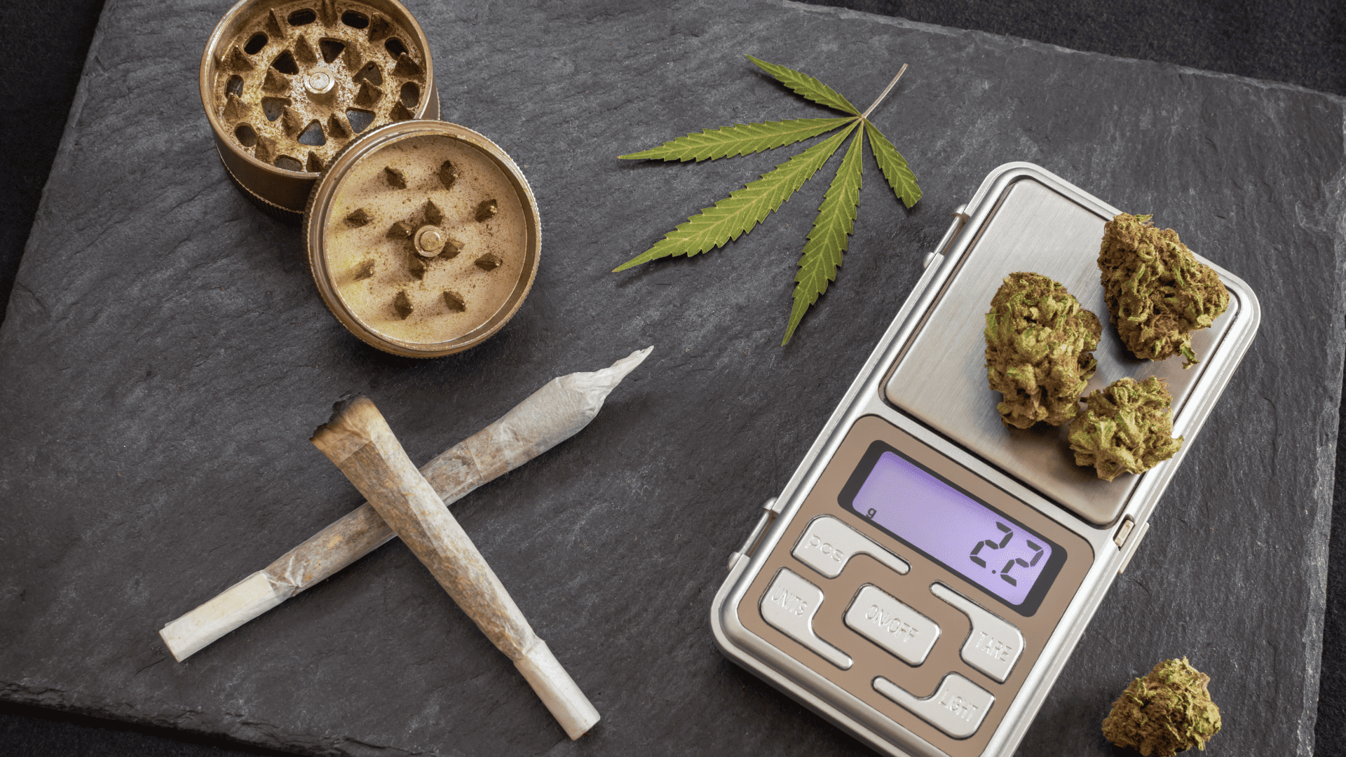 Was ist CBD? Eine Definition von Cannabidiol – Bild
