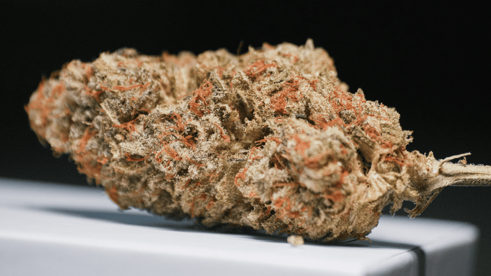 Was ist CBD? Eine Definition von Cannabidiol – Bild
