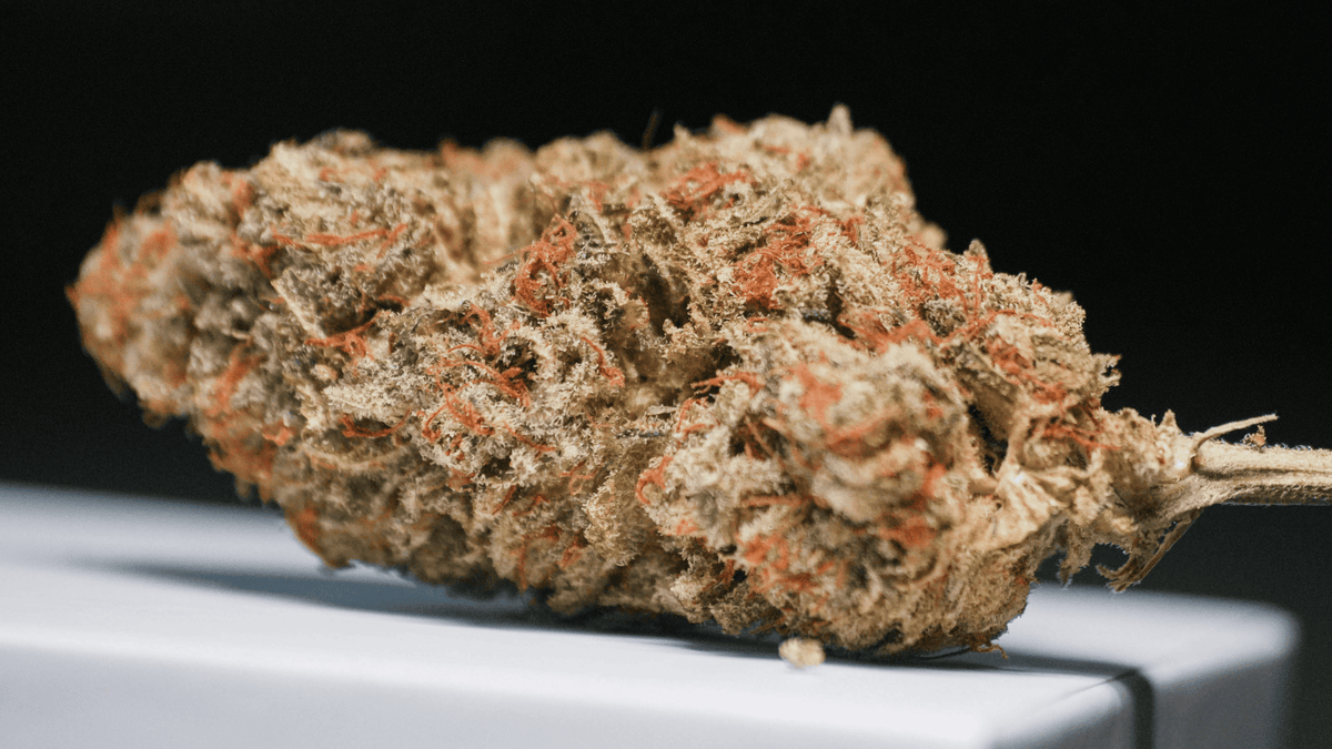 Qu'est-ce que le CBD ? Définissons le Cannabidiol