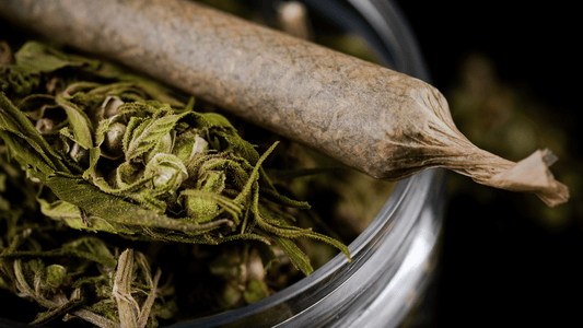 Qu'est-ce que le CBD ? Définissons le Cannabidiol