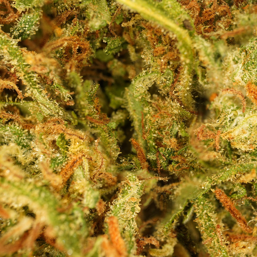Cali grape CBD