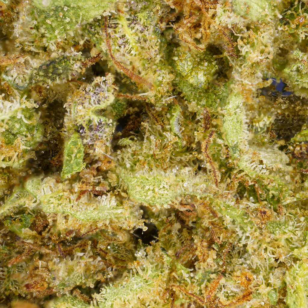 Hawaiian CBD