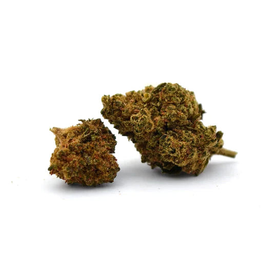 Amnesia Small Buds CBD