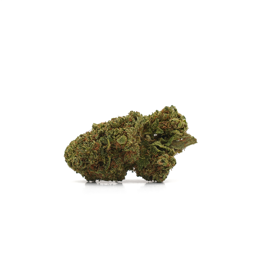 Fleur CBD sur un fond blanc