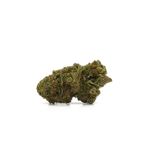 Fleur CBD sur un fond blanc