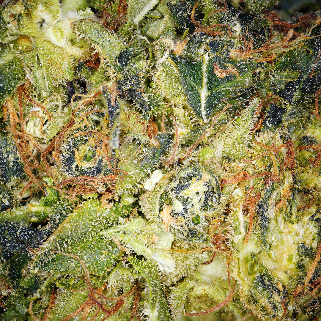 Frozen CBD