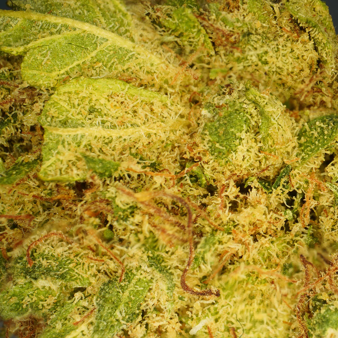 L.A. Cali CBD