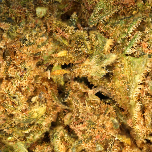 OG Kush CBD