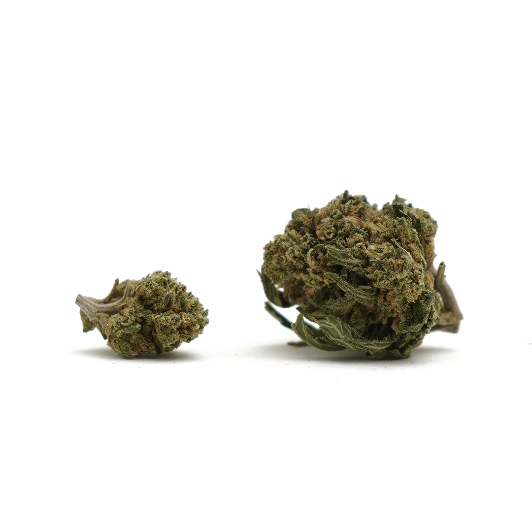 Kleine Köpfe Cookie Kush CBD