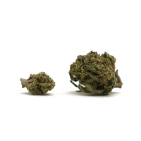 Petites Têtes Cookie Kush CBD