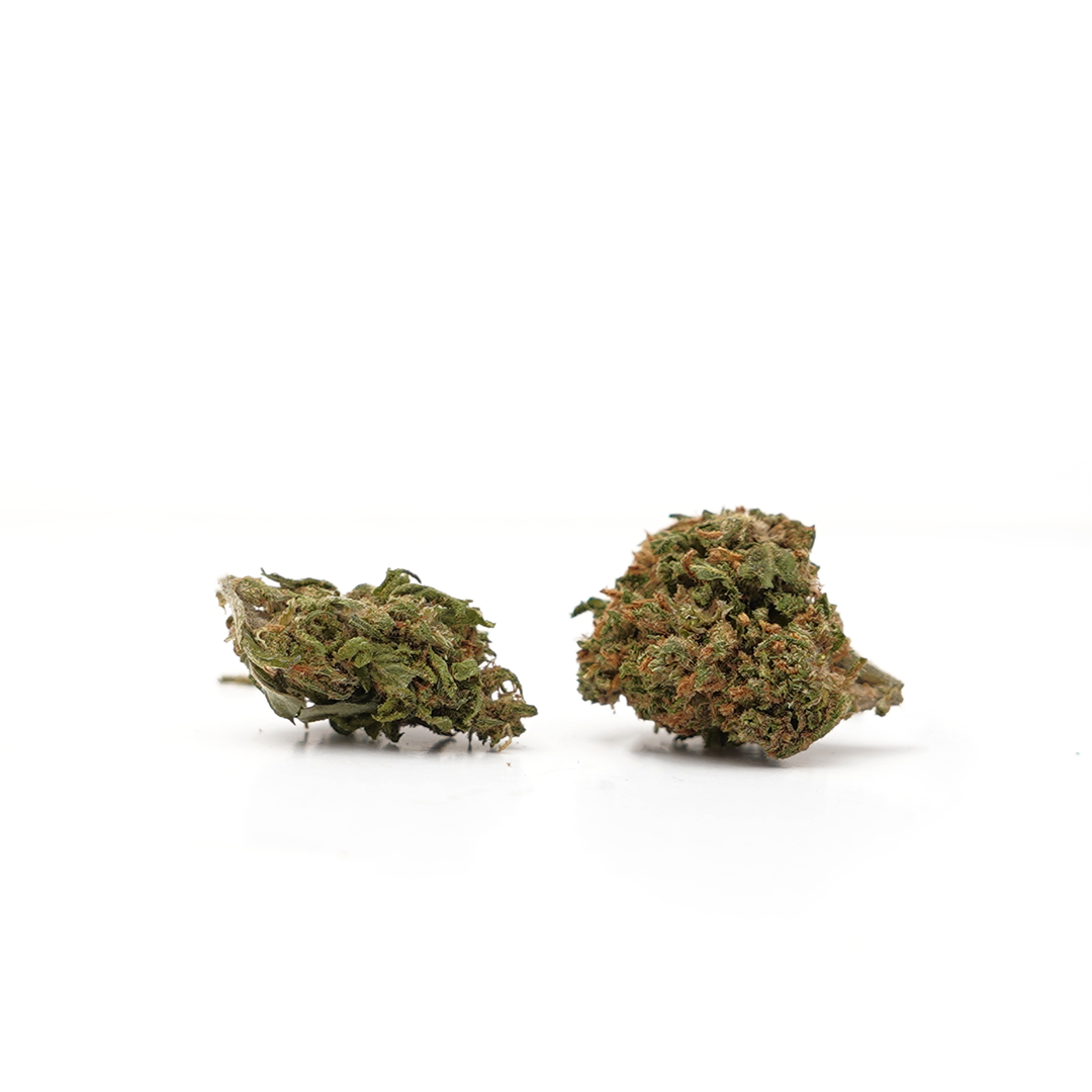 Kleine Köpfe White Widow CBD