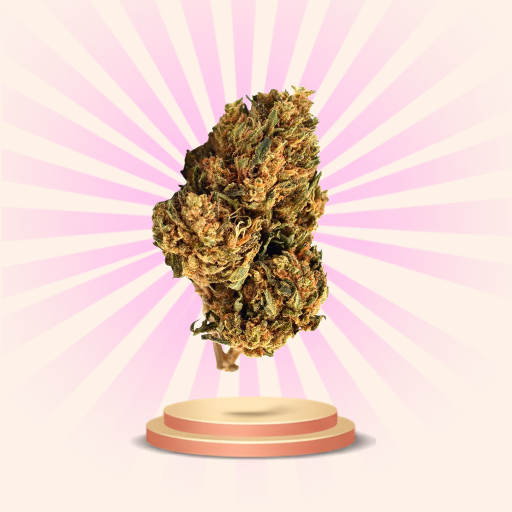 Une photo représentant les meilleures fleurs de CBD sur un fond coloré, avec une mise en scène premium mettant en valeur le produit.
 Image