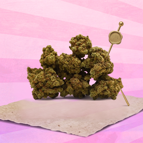 une Photo qui valorise le CBD sur un fond rose