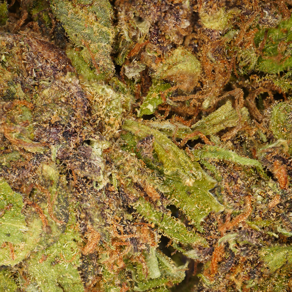 Sour Diesel CBD