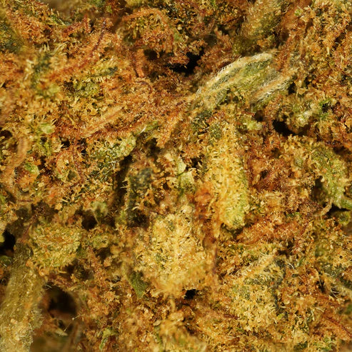 Super Skunk CBD