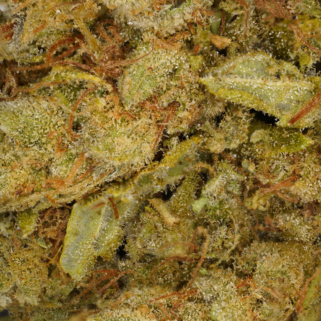 Amnesia CBD
