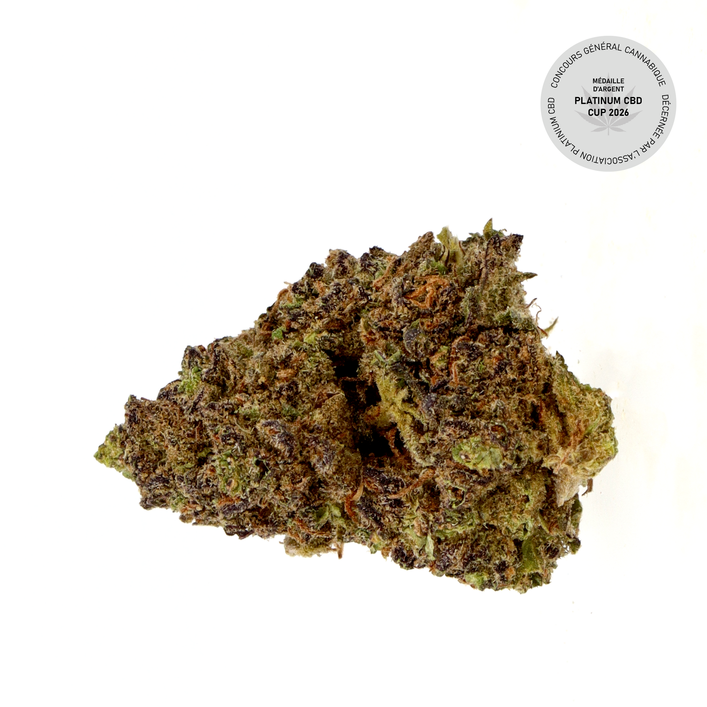 Blueberry Muffin CBD