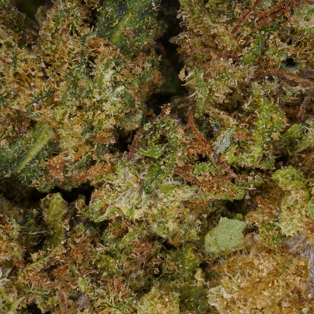 Cannatonic CBD