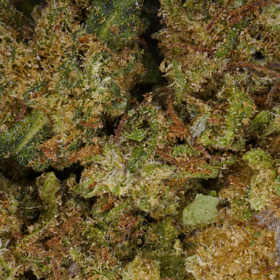 Cannatonic CBD