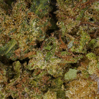 Cannatonic CBD