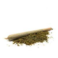 CBD critico pre-roll 🔱