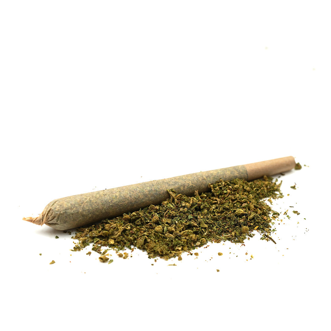 CBD critico pre-roll 🔱