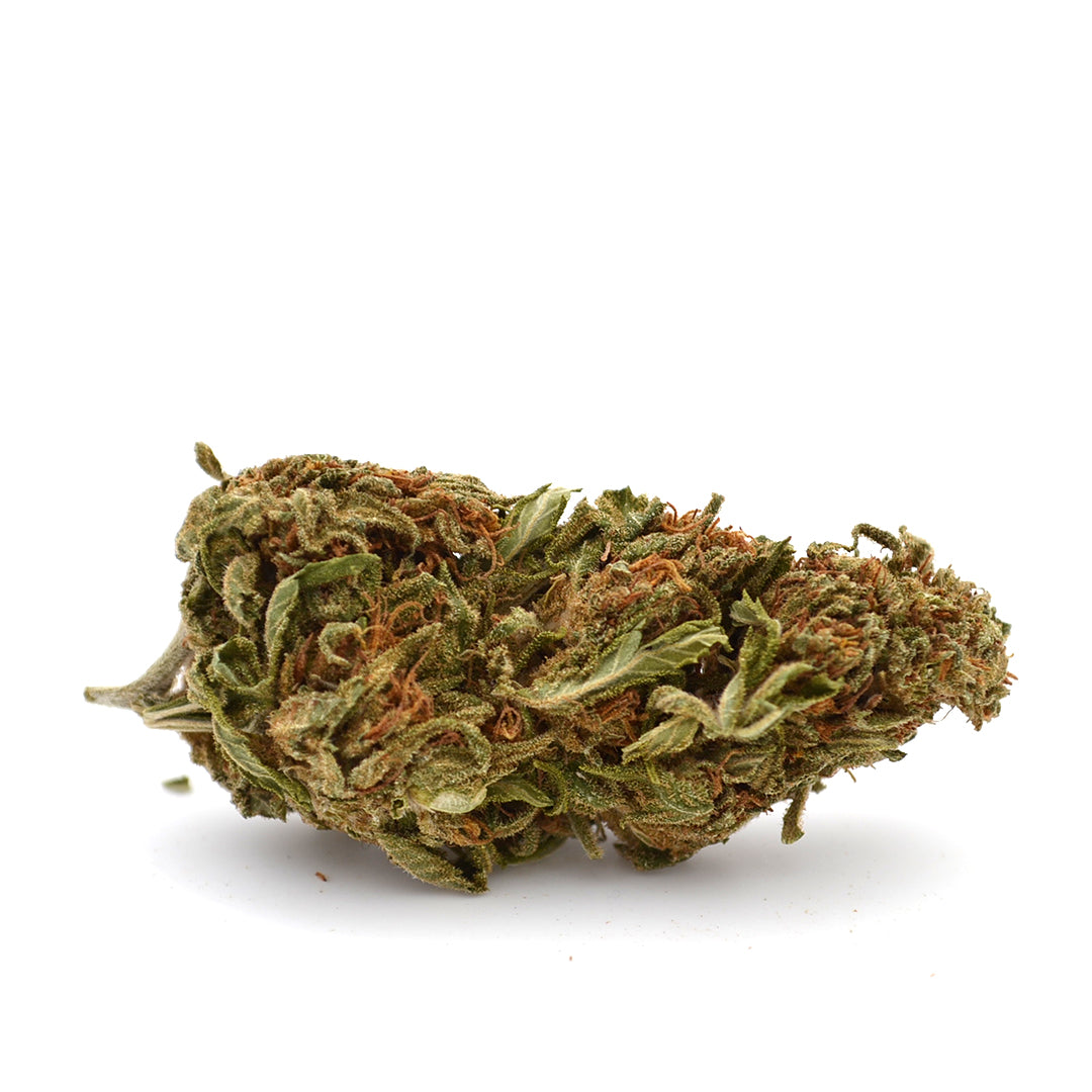 Ganesh CBD