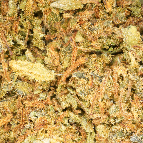 Jack Herer CBD