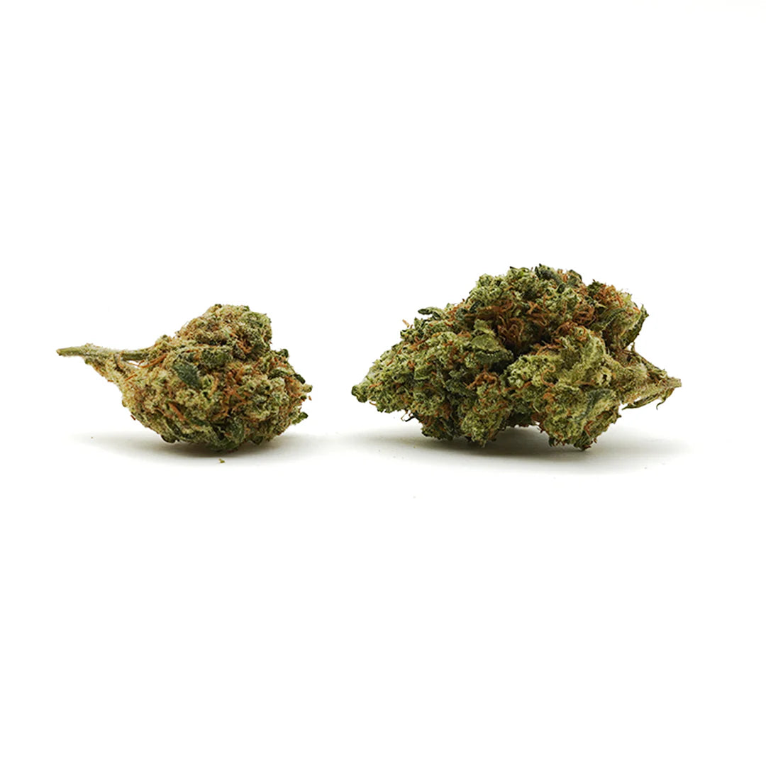 Hawaiian CBD – Small Buds