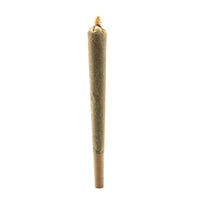CBD critico pre-roll 🔱