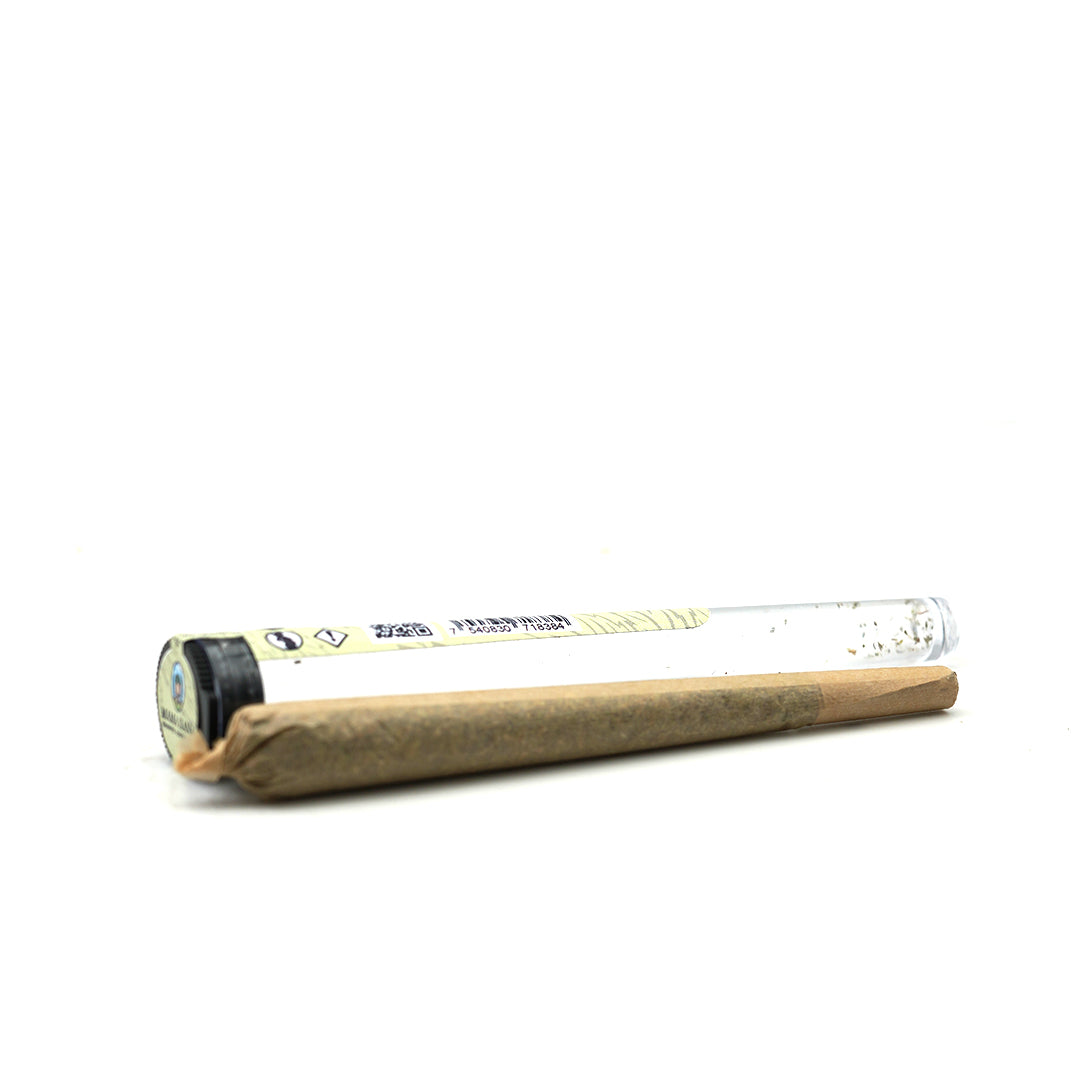 Pack découverte Pre-rolls CBD 🧘