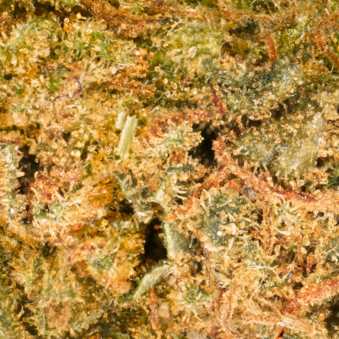 Kleine Köpfe Wedding Cake CBD
