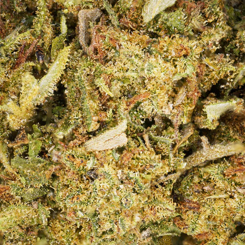 Zkittlez CBD
