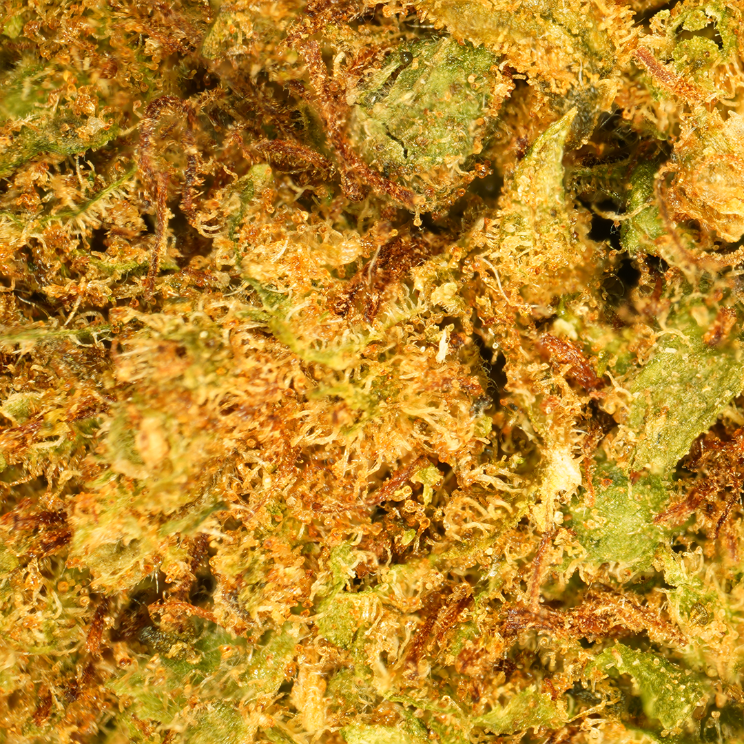 OG Kush - Cogollos pequeños