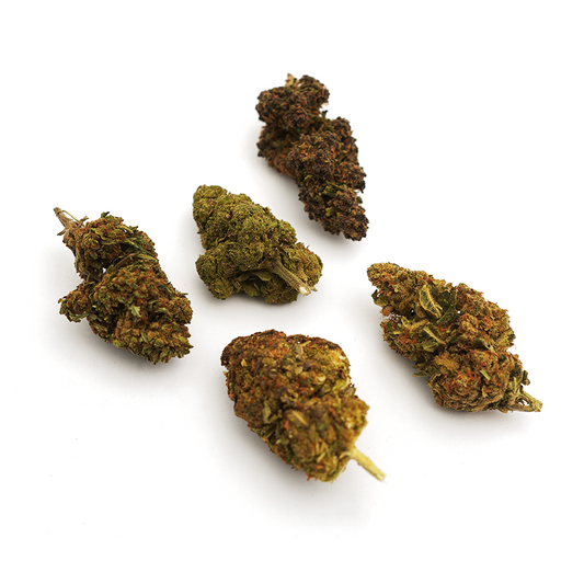 Pack Descubrimiento Flores CBD 🌱